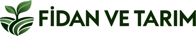 Fidan ve Tarım